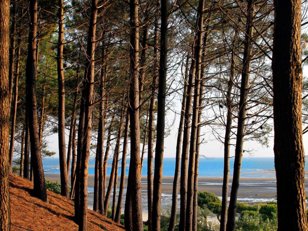 Arcachon Centre : Charmant T2 Avec Loggia, Parking Securise Et Proche Plage - Fr-1-420-61 Eksteriør bilde
